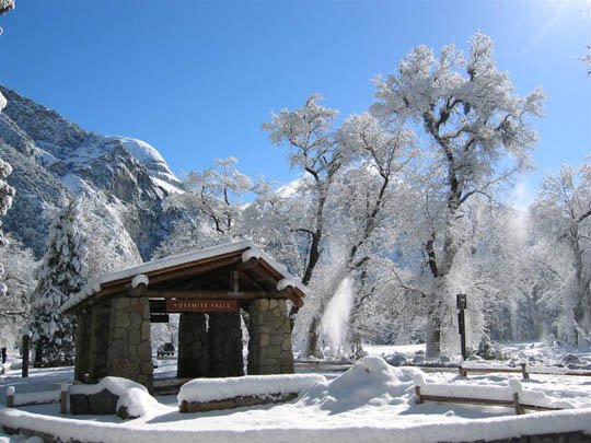 神奇的大自然：漂亮的雪树图片欣赏