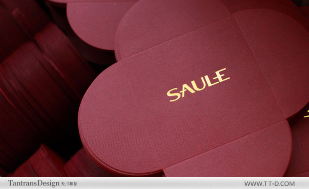 日本株式會社SAULE VI設計―天川和信設計
