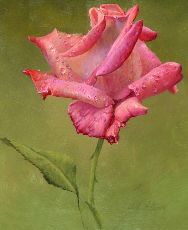 Alexei Antonov玫瑰花绘画欣赏