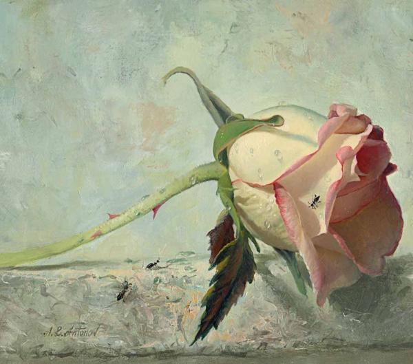 Alexei Antonov玫瑰花绘画欣赏