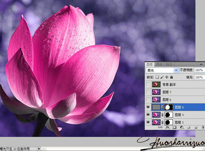 Photoshop打造高清的暗紫色荷花特写图片