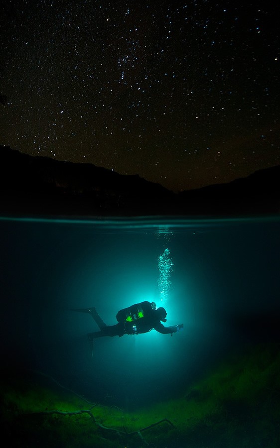 惊人的水下摄影作品