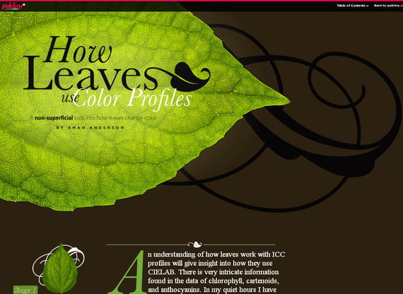 网页设计欣赏：漂亮的字体和排版