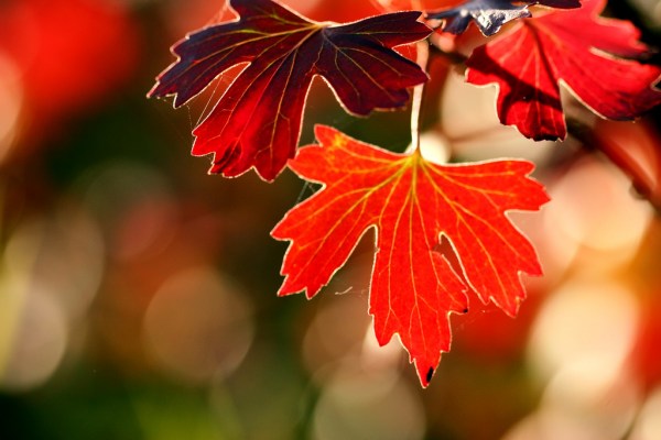 25张美丽的秋天风景摄影