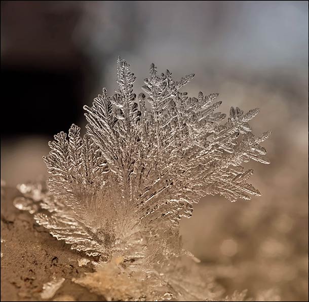 Andrew Osokin微距摄影：精美的雪花