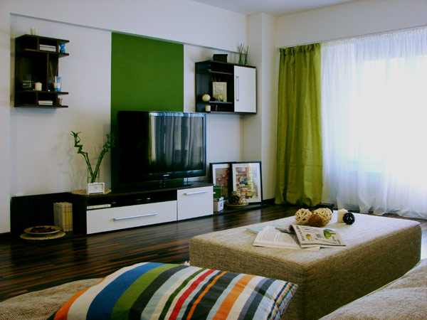 布加勒斯特精致的一居室小公寓装修设计
