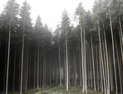 德國攝影師JurgenHeckel森林攝影
