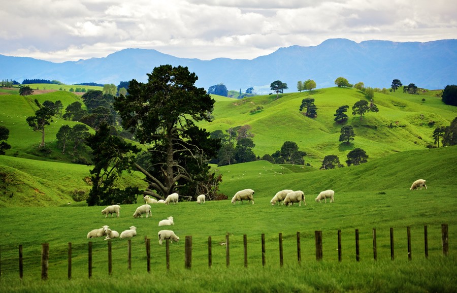 美丽的新西兰风景摄影