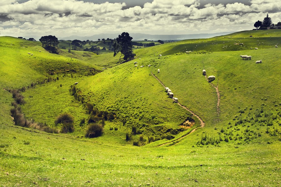 美丽的新西兰风景摄影
