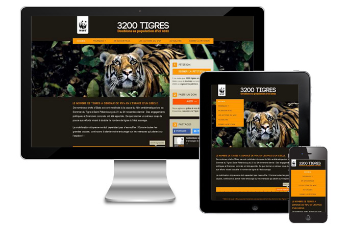 3200 tigres