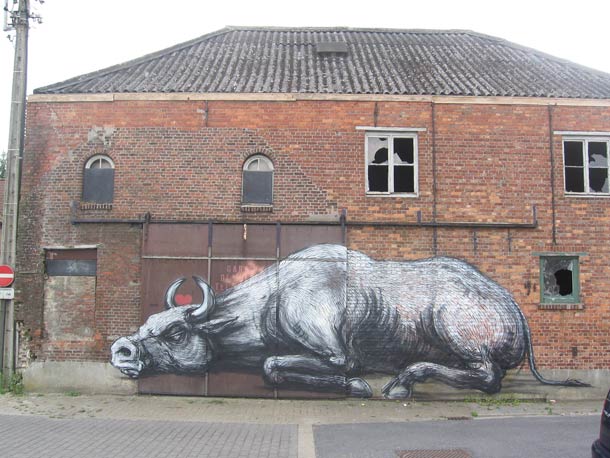 比利时街头艺术家ROA作品欣赏