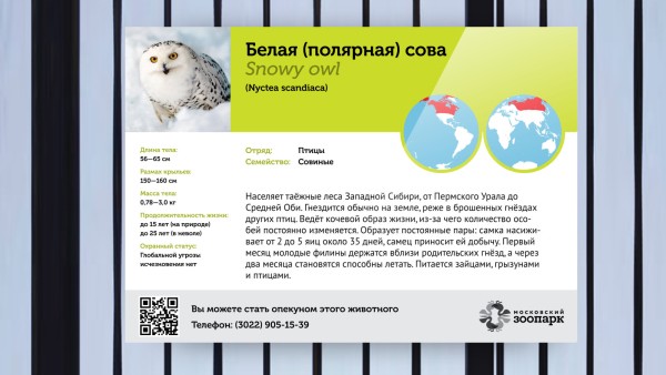 moscow zoo new logo 10 莫斯科动物园迎150周年庆启用新标识