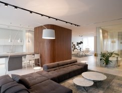 莫斯科New Arbat現代極簡風格公寓設計