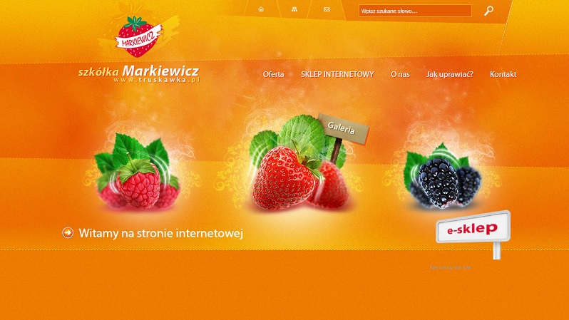 国外20个橙色网站设计欣赏