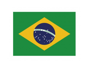 巴西国旗矢量图