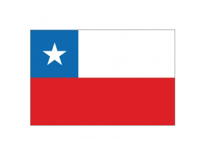 智利国旗矢量图