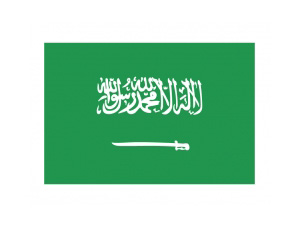 沙特阿拉伯国旗矢量图