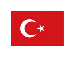 土耳其国旗矢量图