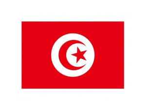 突尼斯国旗矢量图