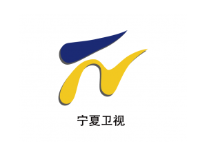 宁夏卫视台标logo矢量图