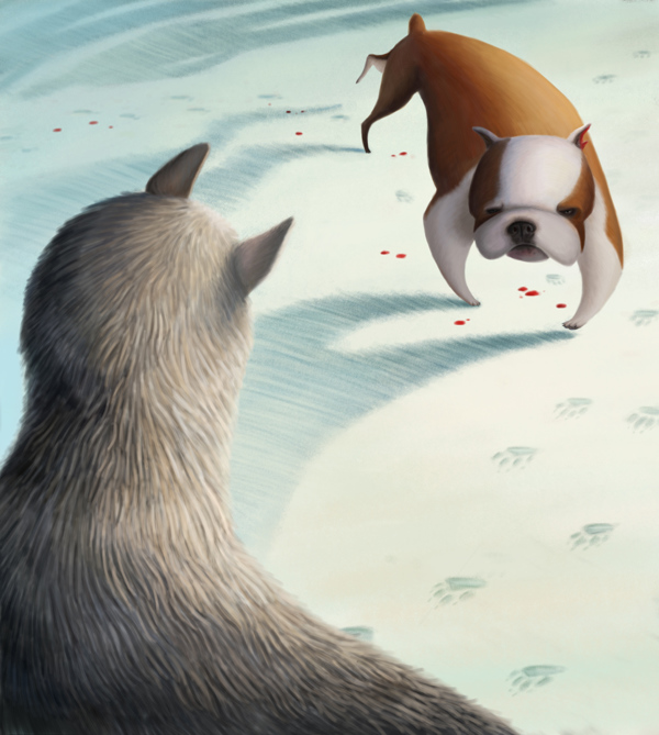 Varya Kolesnikova可爱的动物插画欣赏