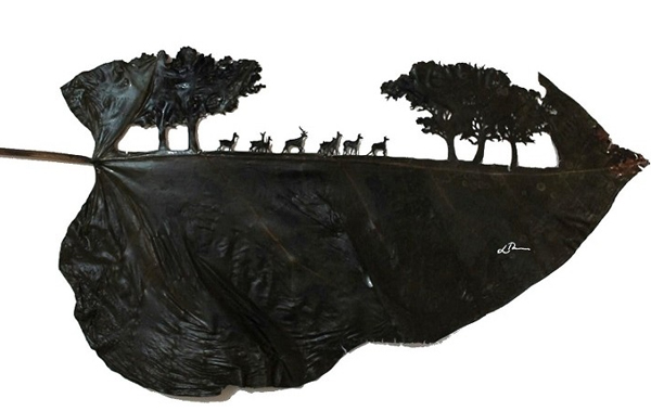 Lorenzo Manuel Duran惊人的树叶雕刻艺术