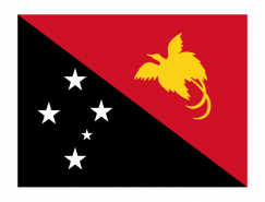 巴布亚新几内亚国旗矢量图