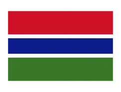 冈比亚国旗矢量图