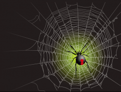 蜘蛛网和蜘蛛矢量素材