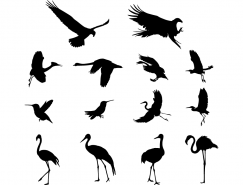 鸟类剪影矢量素材(2)