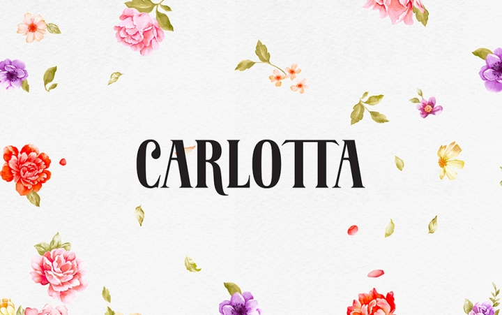 Carlotta面包店品牌和包装设计欣赏