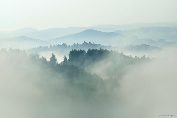 Kilian Schönberger大气迷人的晨雾风光摄影
