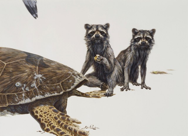 George Boojury超逼真的动物绘画作品欣赏