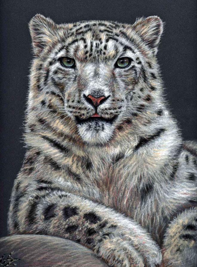25张精细逼真的动物绘画作品欣赏