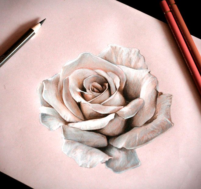 25个漂亮的玫瑰花绘画作品欣赏