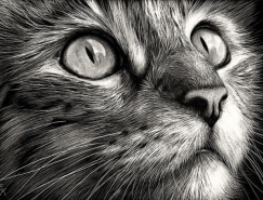 30張貓咪鉛筆畫欣賞
