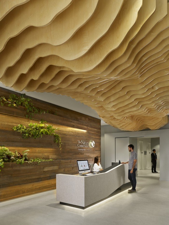 The Nature Conservancy旧金山办公室空间设计