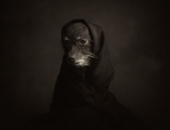Vincent Lagrange動物肖像攝影作品