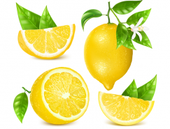 黄柠檬矢量素材