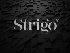 Strigo服裝品牌形象設計