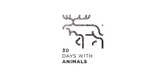 53款漂亮的logo设计(2015.10月号)