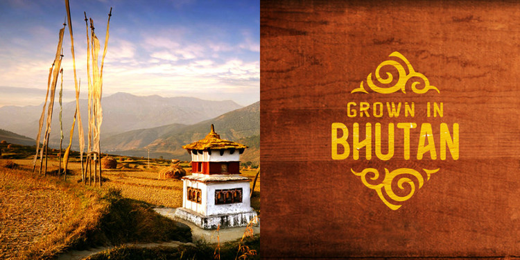 不丹：传统经济的新形象