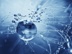 Joni Niemelä唯美的水滴攝影欣賞