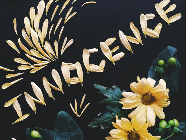 50款漂亮的花卉艺术字体设计