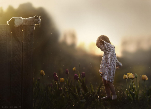 Elena Shumilova:孩子与动物的温暖瞬间