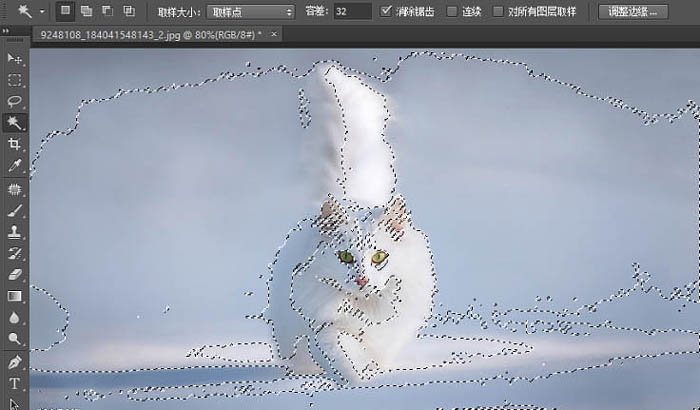 PS快速蒙版及调整边缘快速抠出白猫