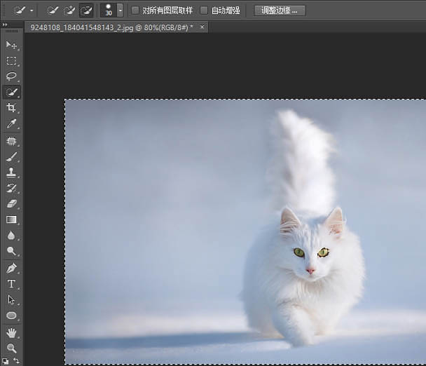 PS快速蒙版及调整边缘快速抠出白猫