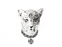 戴上珠宝饰品的动物:Natalia Bivol动物肖像插画