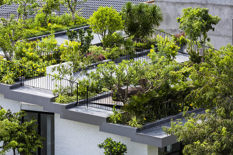 越南芽庄充满绿意的屋顶花园住宅