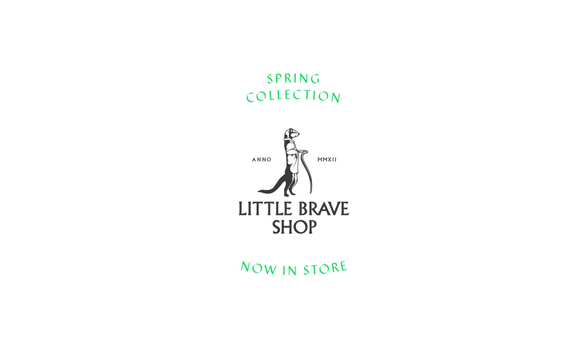 Little Brave Shop服装店品牌形象设计